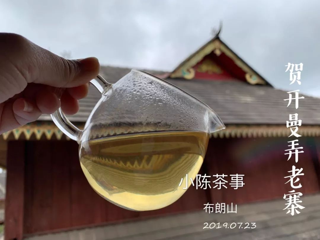 普洱茶古树茶小众山头,普洱茶古树茶与台地茶的区别在哪
