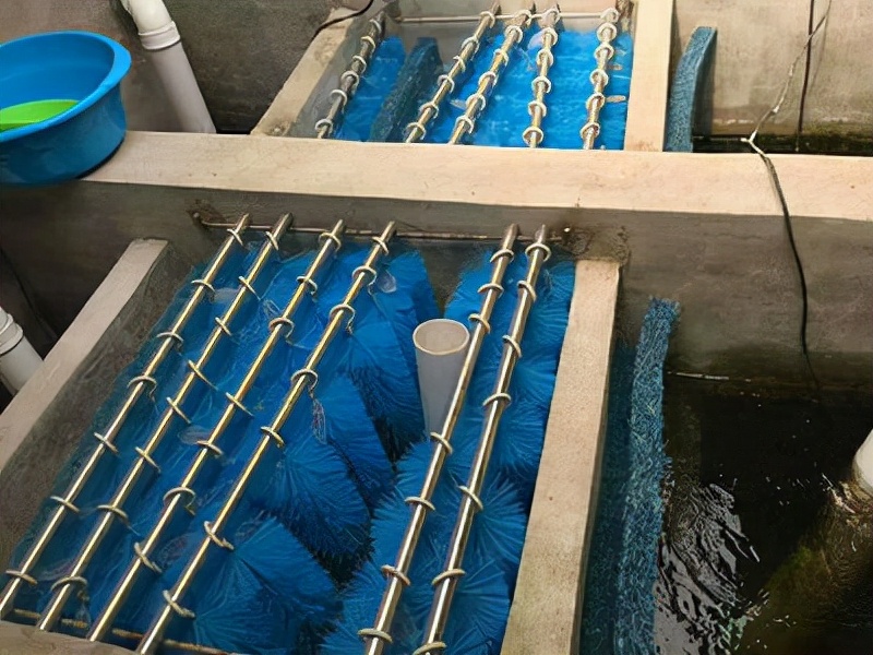 锦鲤池过滤系统与鱼池比例,锦鲤鱼池过滤池结构图详解