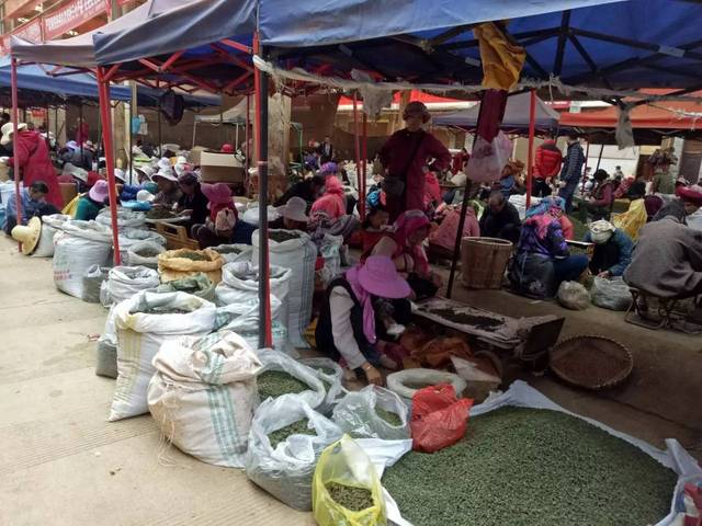 金不换骗局大揭秘,金不换新编戏被群众赶下台