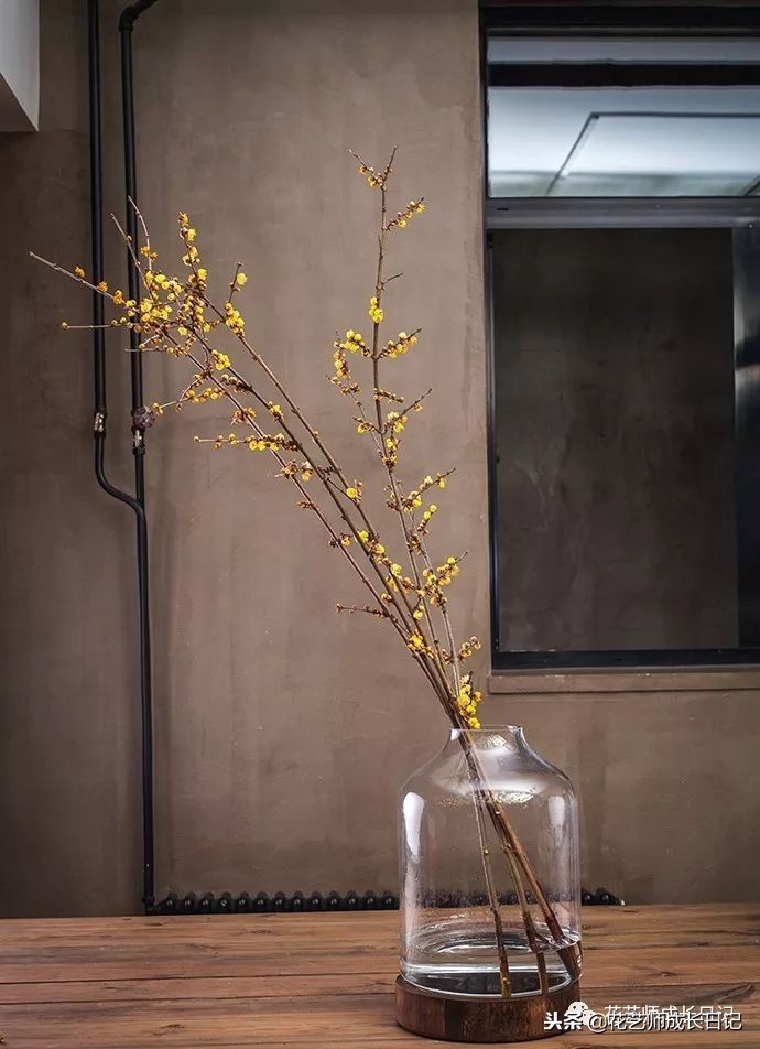 每日一花|平生相见即眉开,一枝腊梅踏雪来