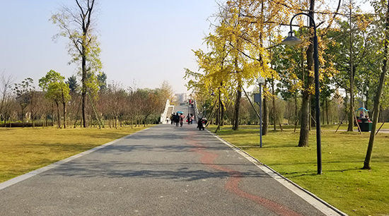 空港中央公园攻略,空港城市绿道骑行