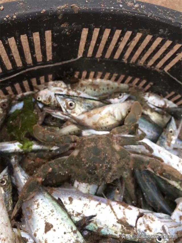 辽宁休闲度假海滩,辽宁东部海滩旅游