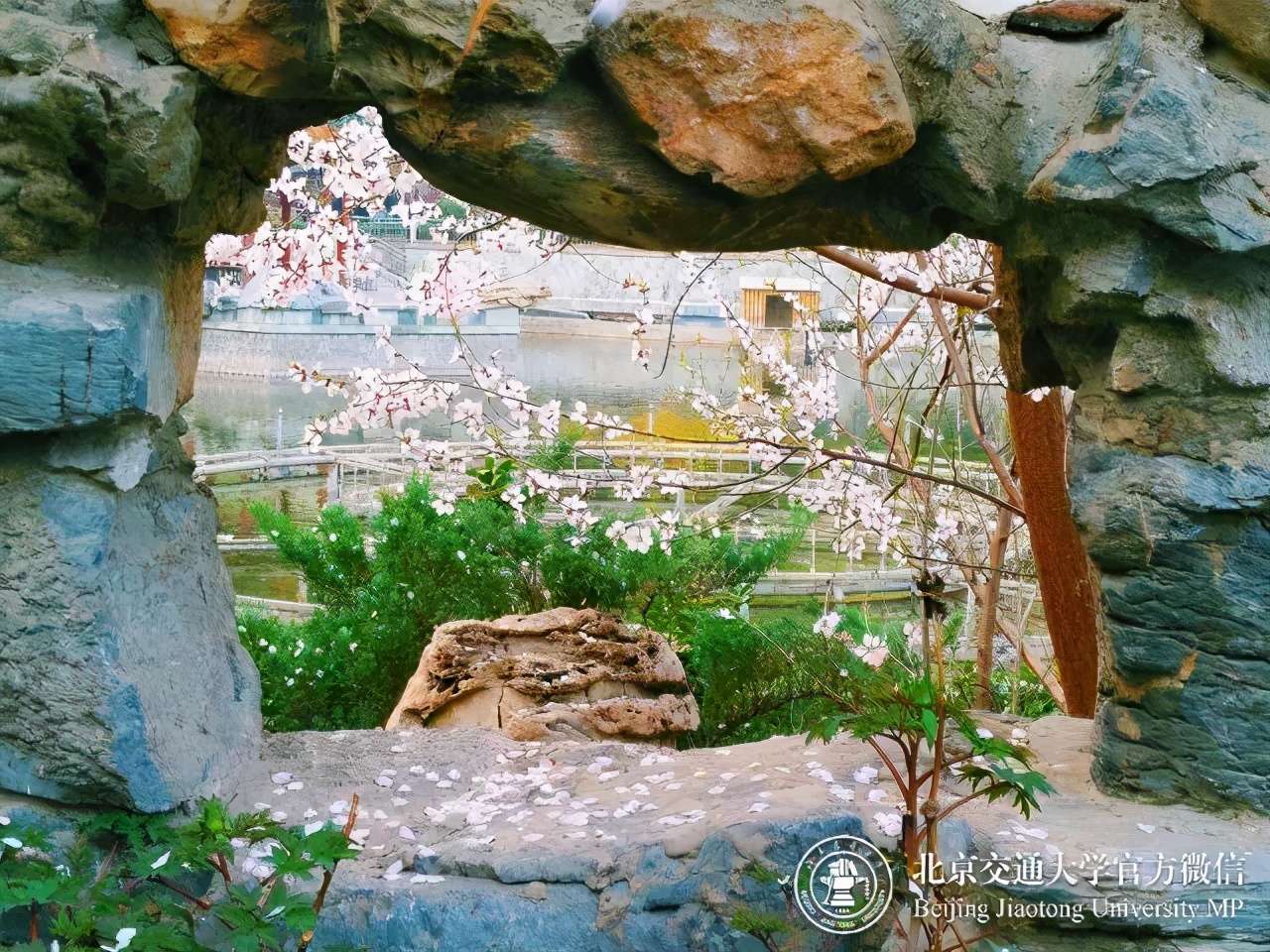 多少分可以上个好大学,多少分能上美校