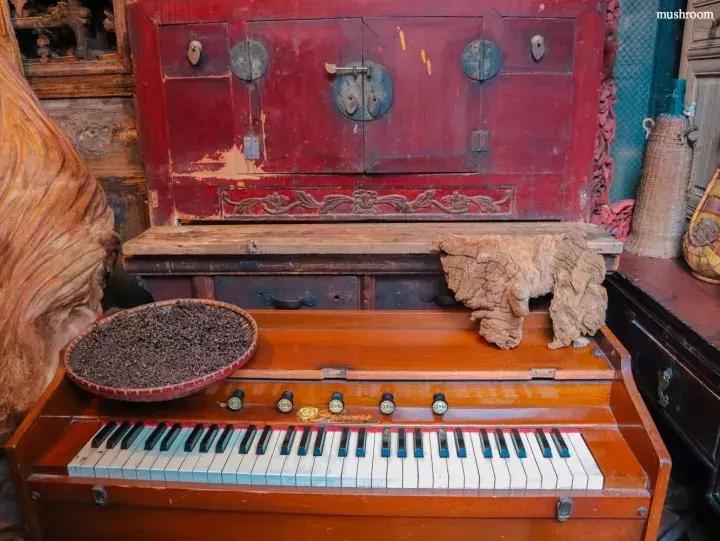 二手家具旧货市场成都锦江区,成都双流最大的二手家具旧货市场