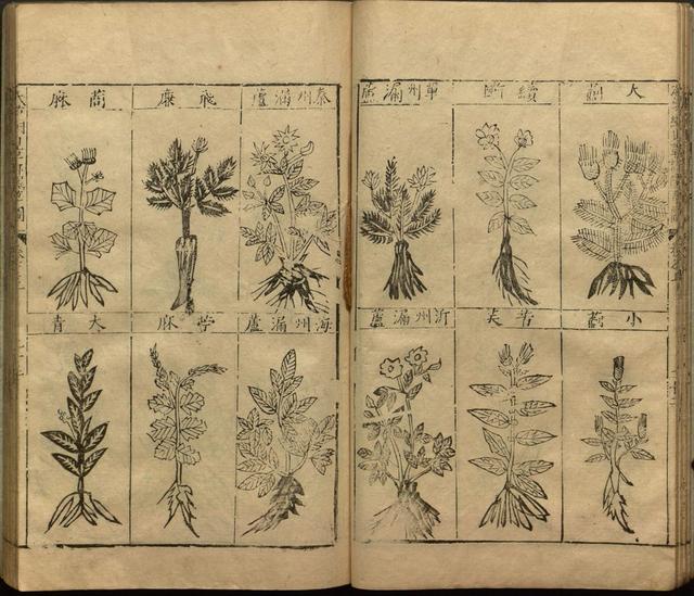 本草纲目中插图是李时珍画的吗,本草纲目李时珍插图