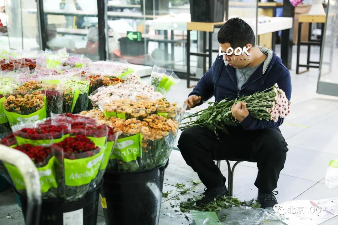 北京最大的露天花卉,北京最大的花卉大观园