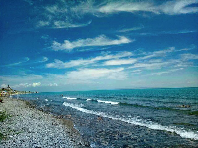 青海湖湟鱼洄游古诗词,青海湖湟鱼为什么洄游