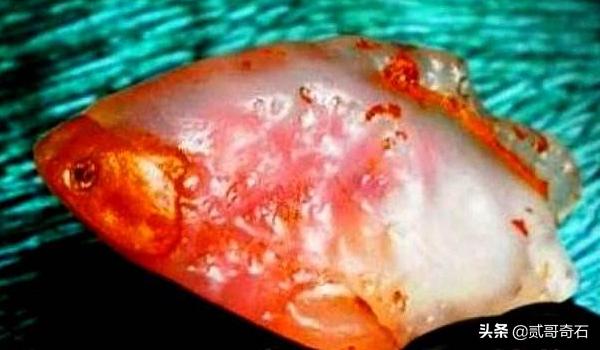 这些奇石的特点是什么,最有价值的极品奇石有哪些