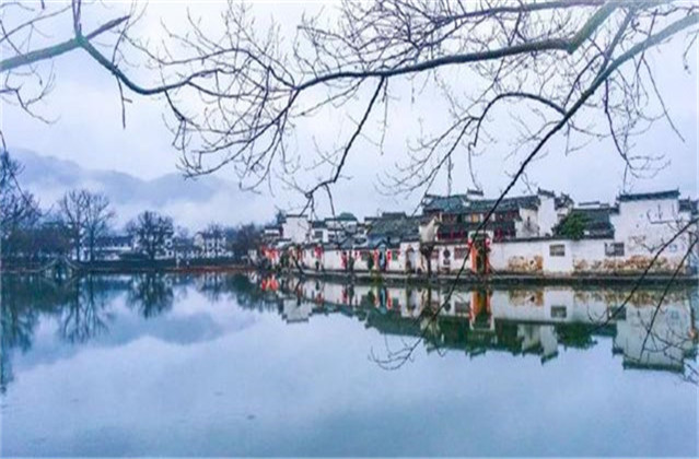 以杨柳来表达依依惜别的诗句,关于柳枝依依惜别诗句