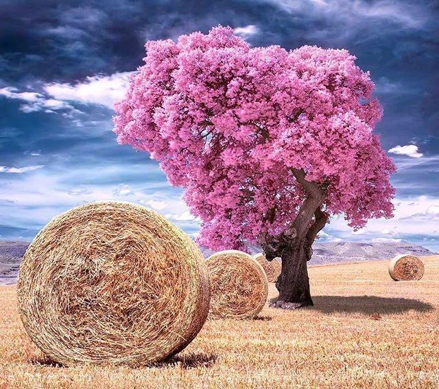 简短有深度的爱情句子语录情感,精辟到极致的爱情句子集锦