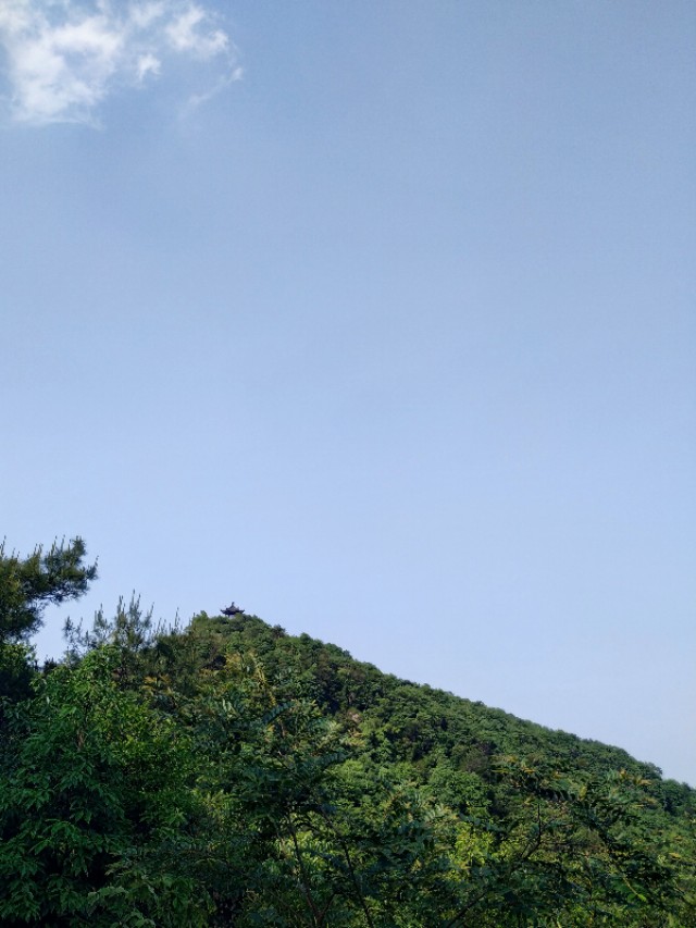 杭州西湖茶山游玩攻略,杭州西湖边游玩