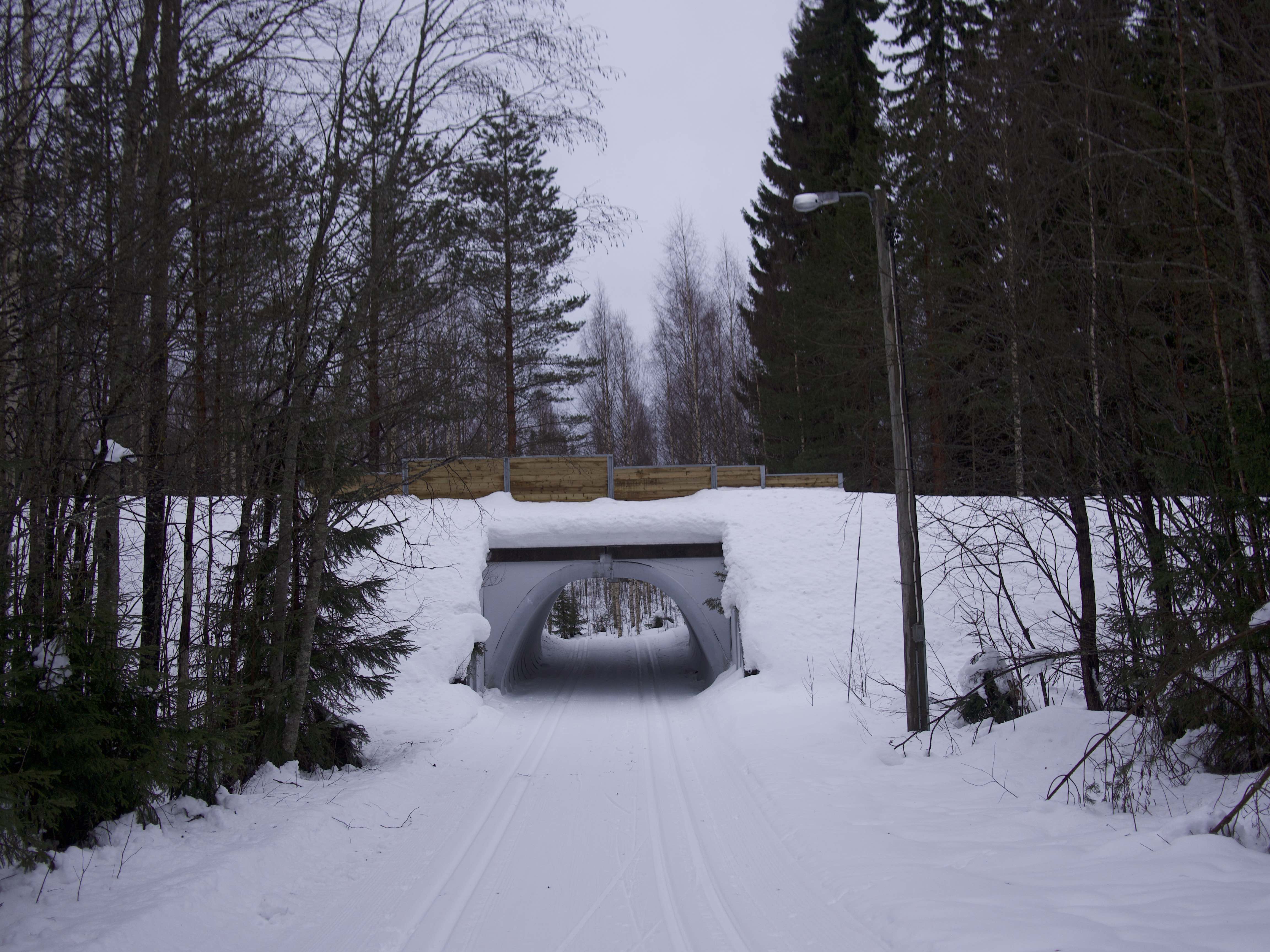 寒冬将至，2019冬季的魔力Taikatalvi-芬兰冬季文化营回顾