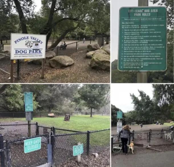 中国养狗的规矩,全国最严养狗条例