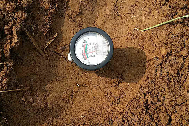 土壤肥力到底看有机质还是腐殖质,如何从土壤肥力判断土壤的好坏