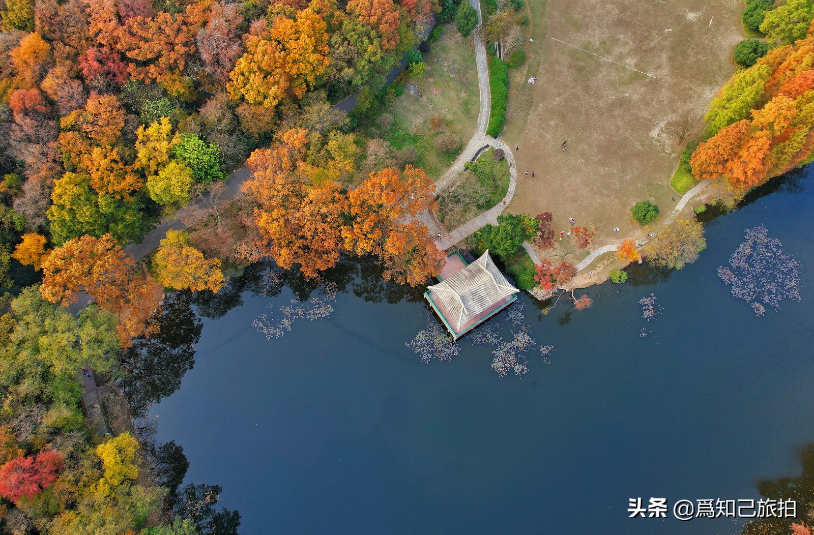 美在金陵文艺大咖秀,美在金陵梁梅