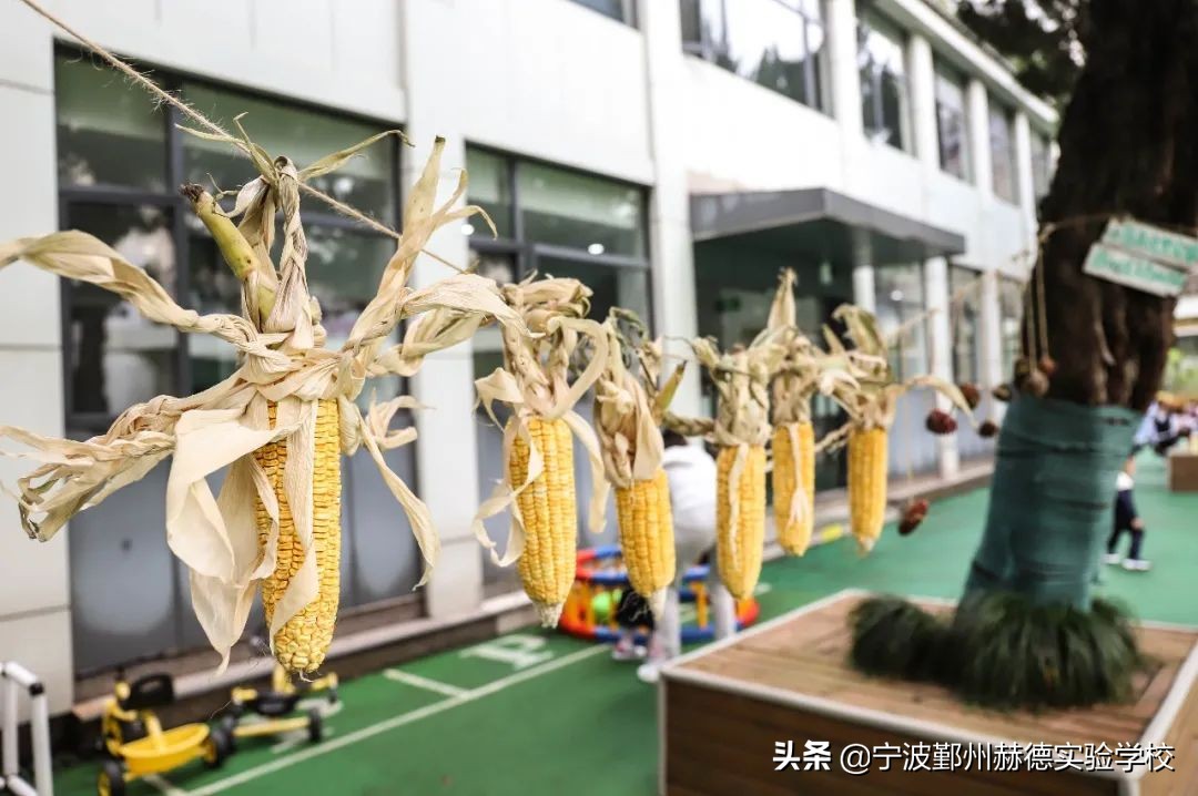 这所“相貌平平”的幼儿园，为什么宁波家长排着队想把孩子送进去