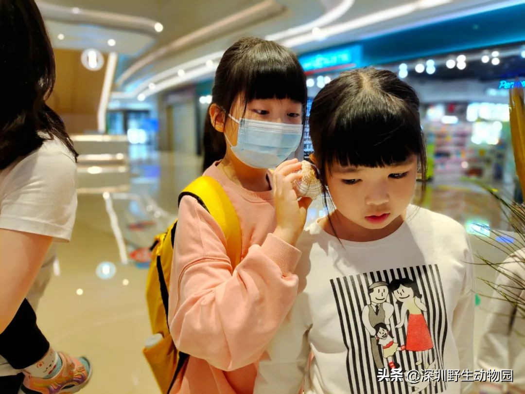 聆听奇趣虫语，发现自然之美