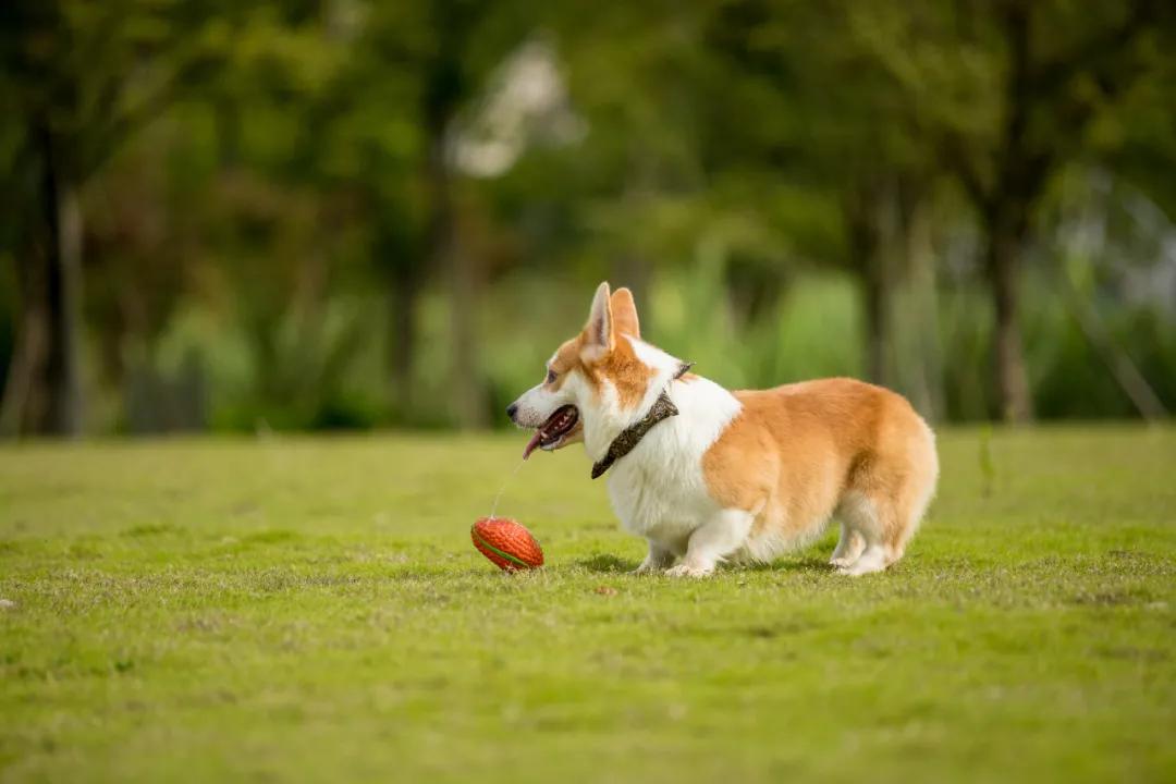 life暴雪嘉年华,life潮跑版