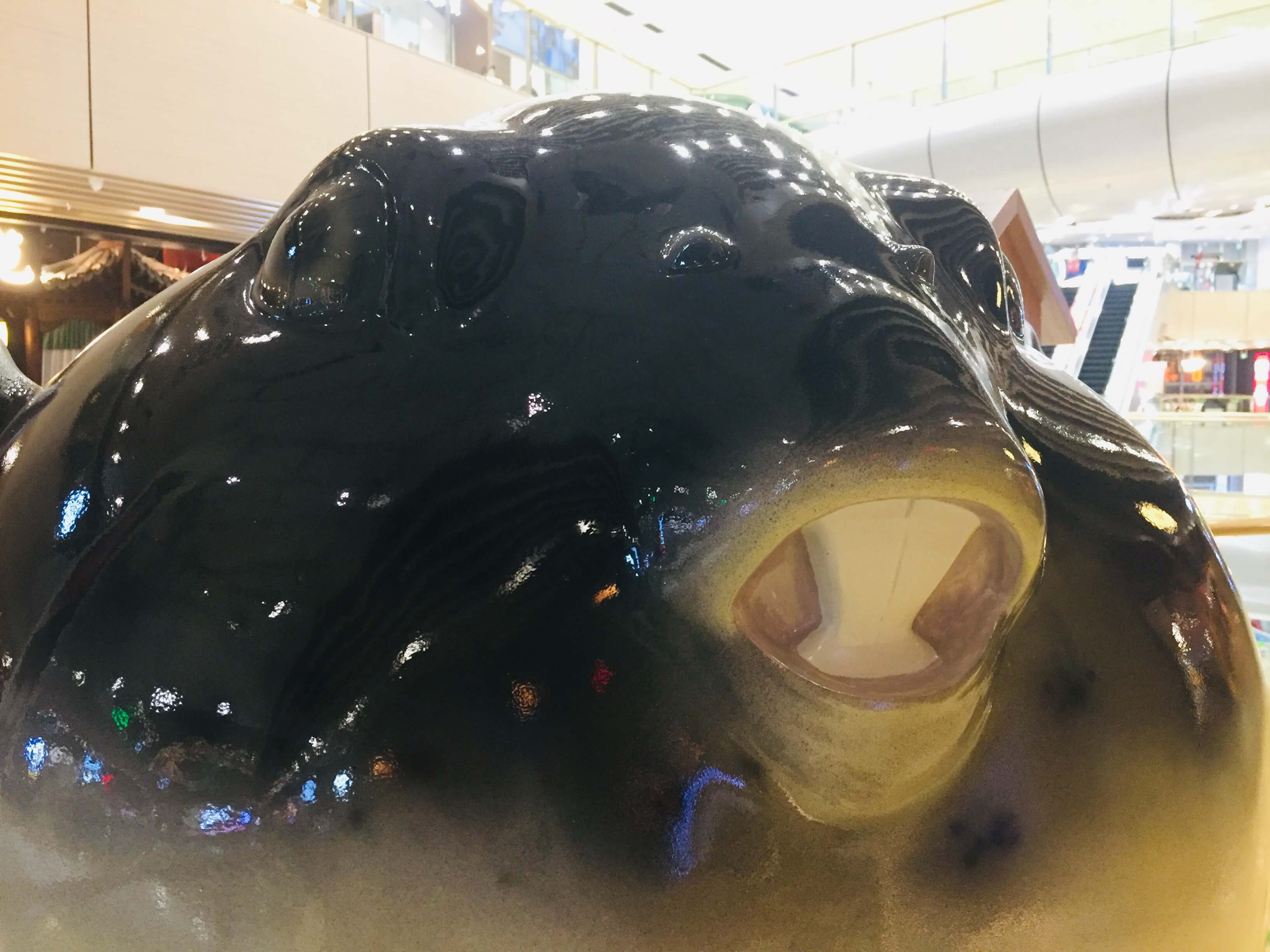 第一次吃河豚说说,第一次吃河豚鱼的感觉