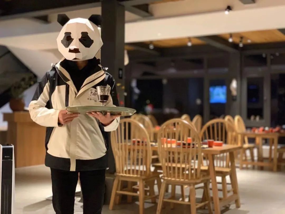 彭州太空舱营地,成都熊猫森林太空舱民宿