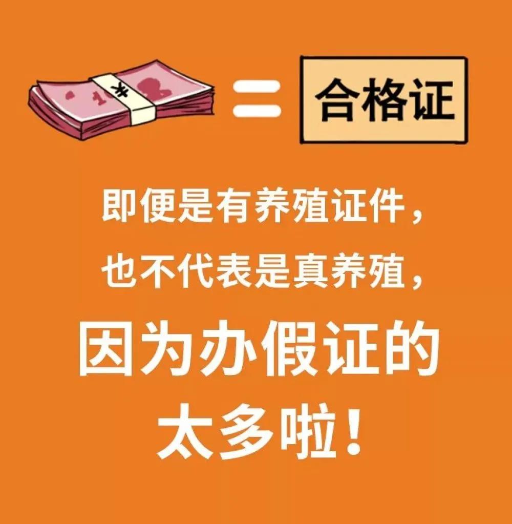 拒绝野味的动物有哪几种,哪些动物属于野味