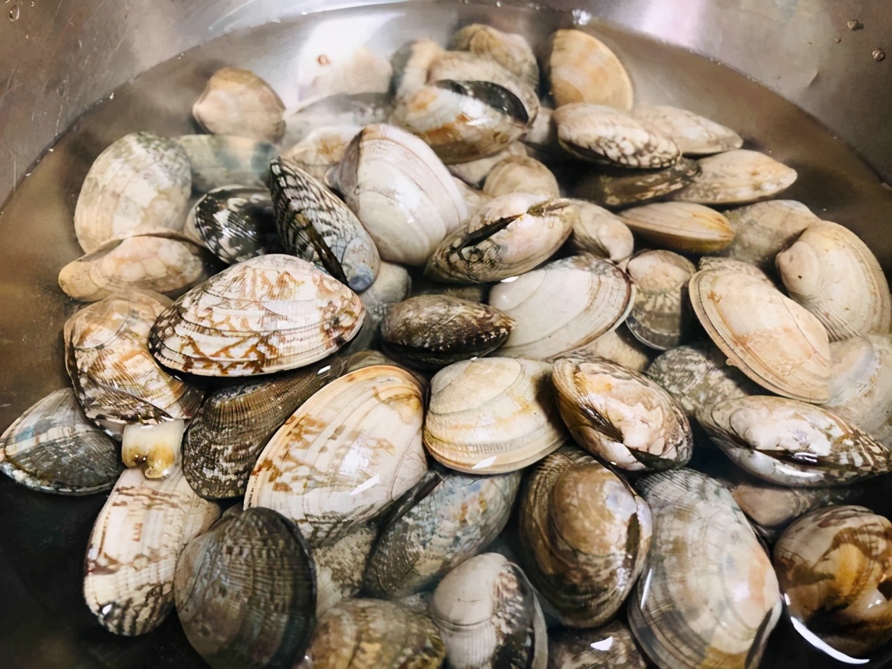 摩飞锅花甲锡纸烤箱版,锡纸花甲粉烤箱咋做