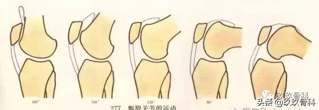 膝盖疼原来是腿向跑偏,膝盖走不准就疼一下是咋回事