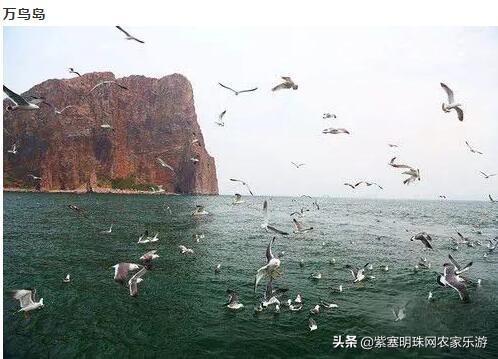 山东高级旅行社游玩攻略,长岛渤海长通旅运有限公司