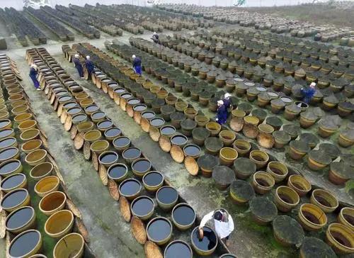 21年食醋行业的变革,食醋行业面临问题