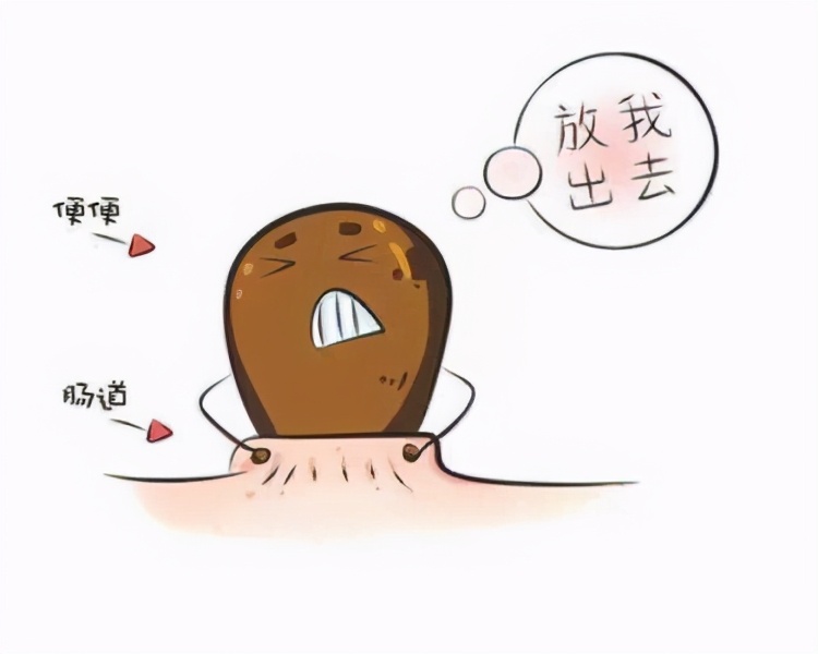 老年便秘痛苦又难治,老年人便秘生活方面