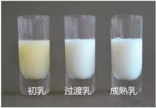 前奶、后奶、稀奶、稠奶,究竟哪个营养值高?区别是什么