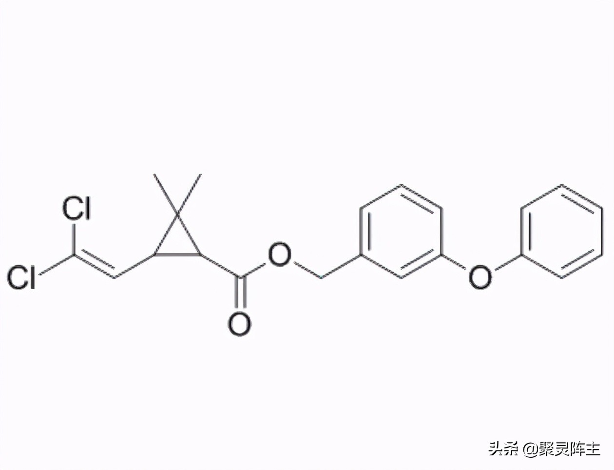 驱蚊产品怎么防蚊,哪种驱蚊产品的效果好且无害