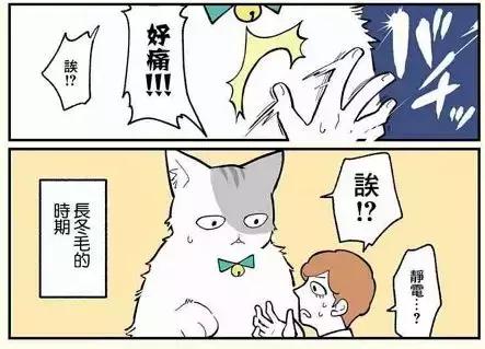 假如自己变成猫是什么体验,从人类变成猫是什么体验