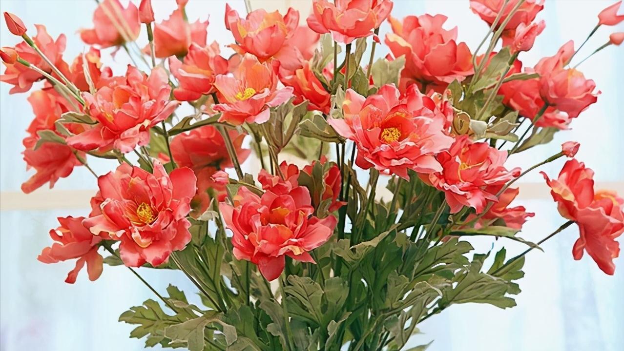 聪明女人在爱情里懂得这些事,在爱情里女人必须要知进退