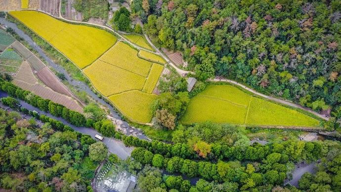 浙江台州市哪个区最好,浙江台州市有哪些地区