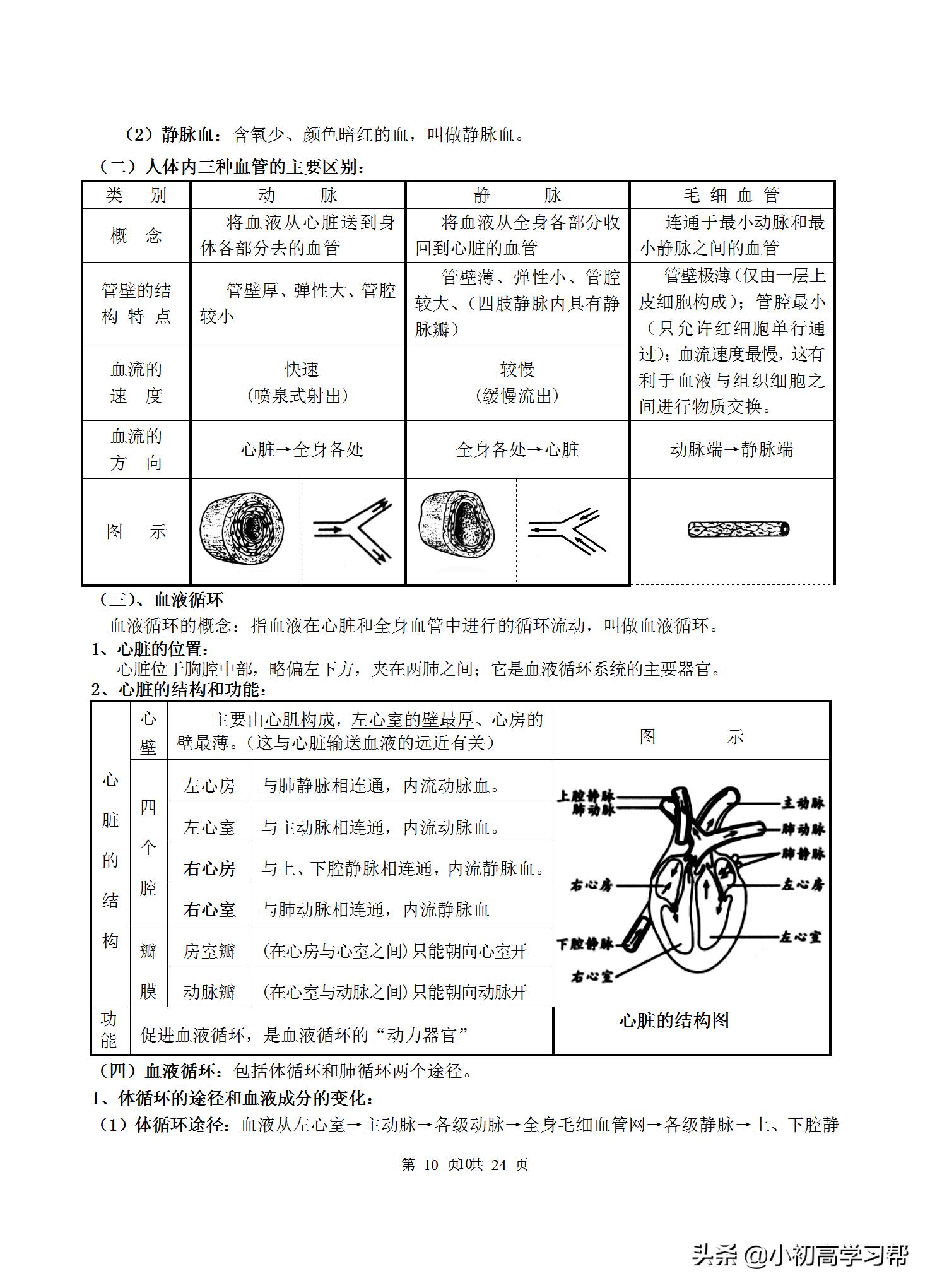 中考生物复习资料大全免费,2022中考生物必考知识点总结