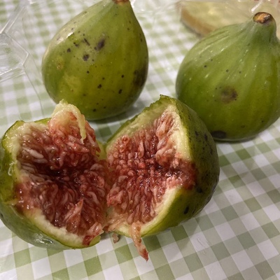 无花果树叶病虫害识别与防治技术,无花果树的栽培繁殖