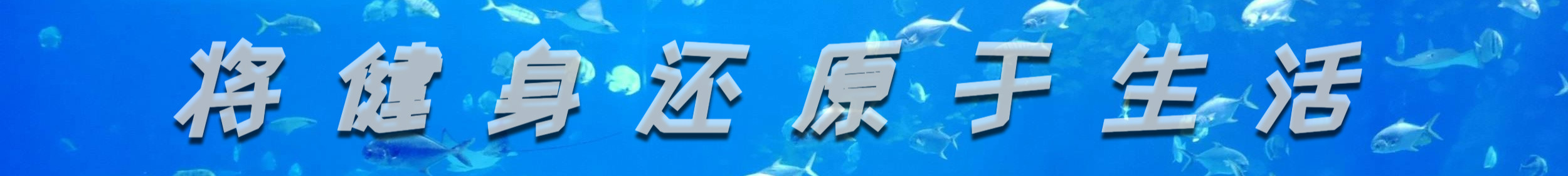 练臀肌没有酸痛感可以天天练吗,我们练臀首先要认识臀部肌肉