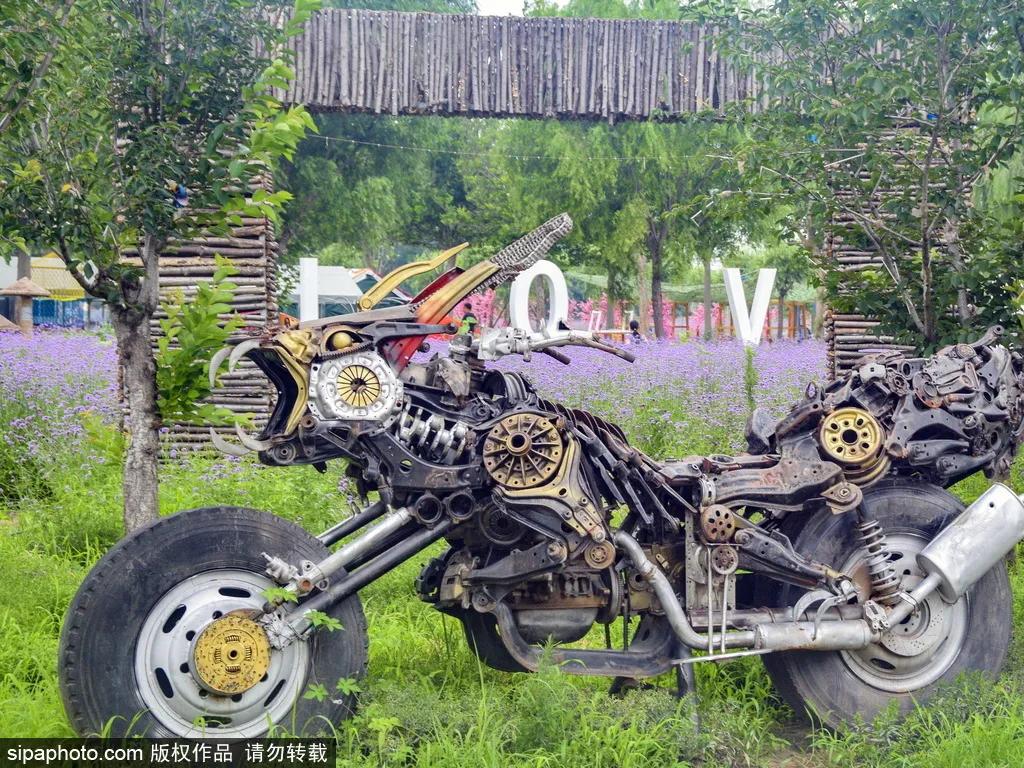 薰衣草花海真是太美了,北京薰衣草花海打卡网红地