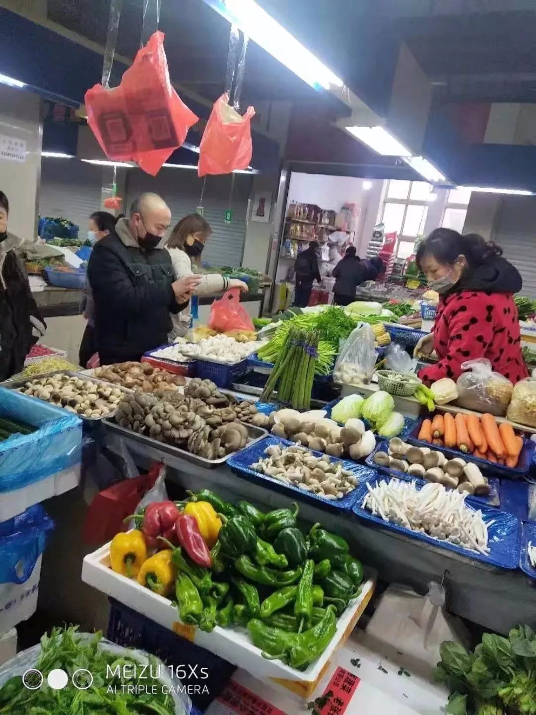 我们为什么要上学,我们为什么会受骗