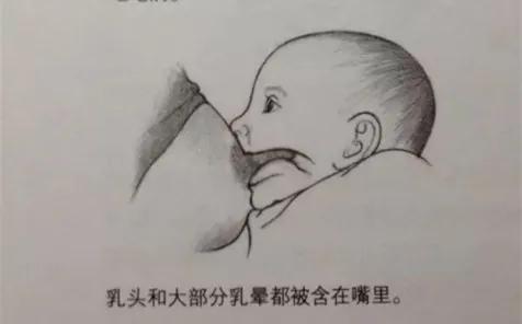 新生儿干货视频,新生儿喂养书籍推荐