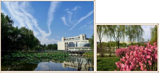 颜值爆表!28万平绿地,55%绿化率,来看西安这所园林式高校