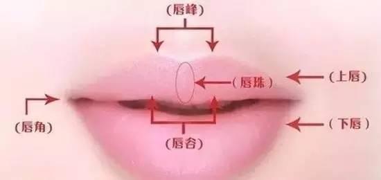 测测你是什么唇形，怎么画口红才最美？赶紧在家练起来