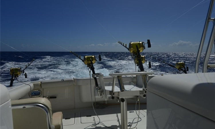 手竿钓鲢鳙7米2选择什么鱼竿,钓翘嘴9米鱼竿和10米鱼竿选择