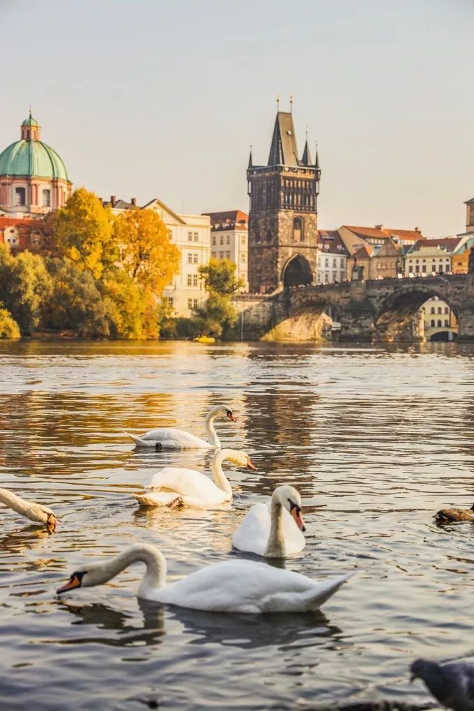 美丽的旅行城市布拉格,布拉格奥地利匈牙利游记