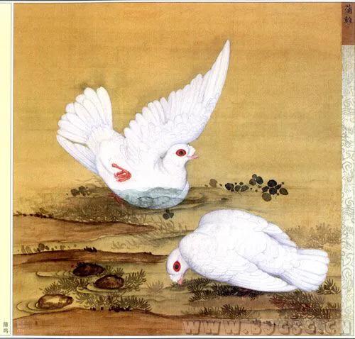 北京鸽哨制作,北京鸽哨晨曲