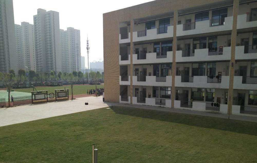 安徽阜阳最好的高中排名一览表,安徽阜阳有什么高中