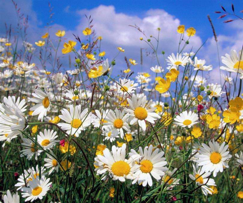 合肥四大龙头学校,合肥四大潜力板块