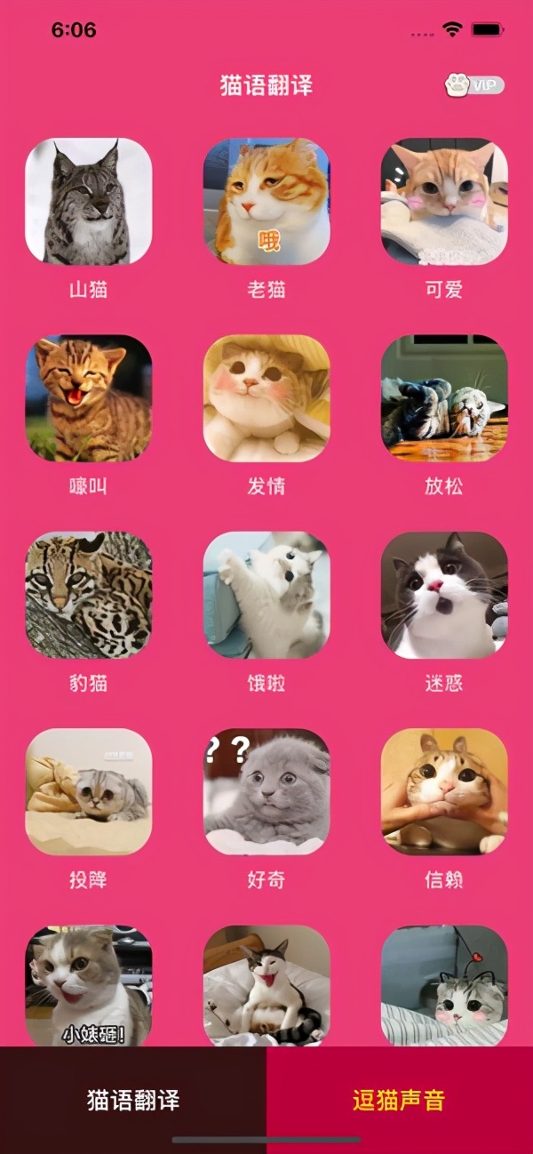 美仕唐纳滋猫粮怎么样,美士猫粮官网