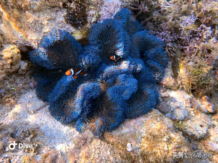 600元玩转澳门三天两夜全攻略,5000块钱玩菲律宾六个海岛